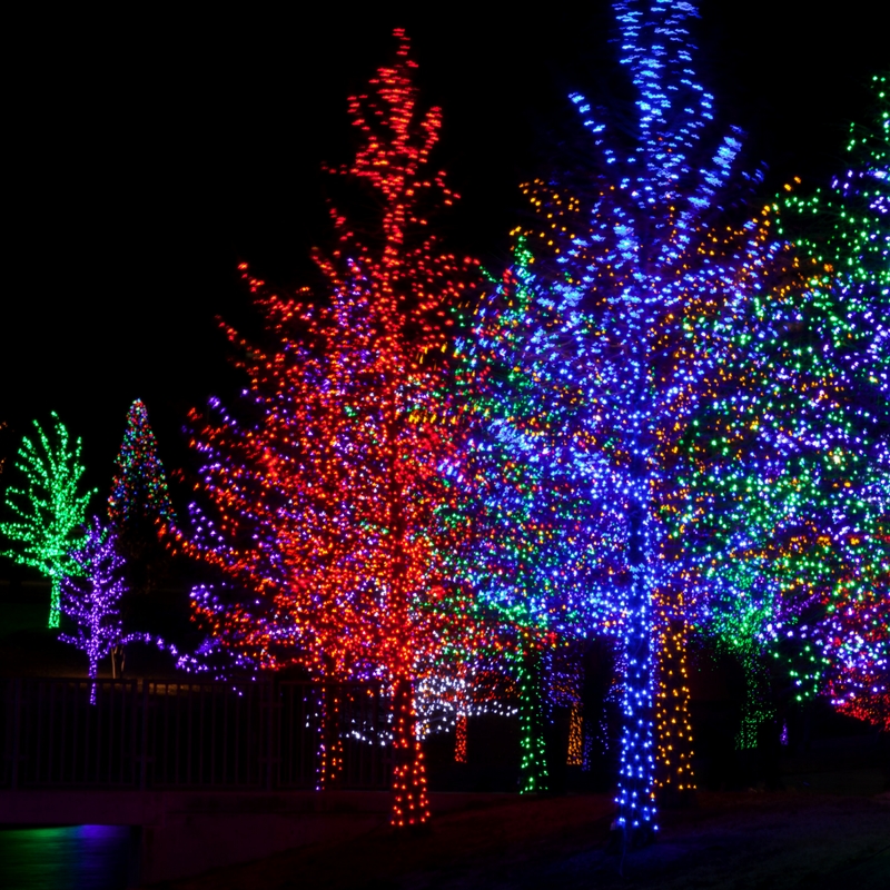 Magic of Lights Review & Experience Get Your Holiday On