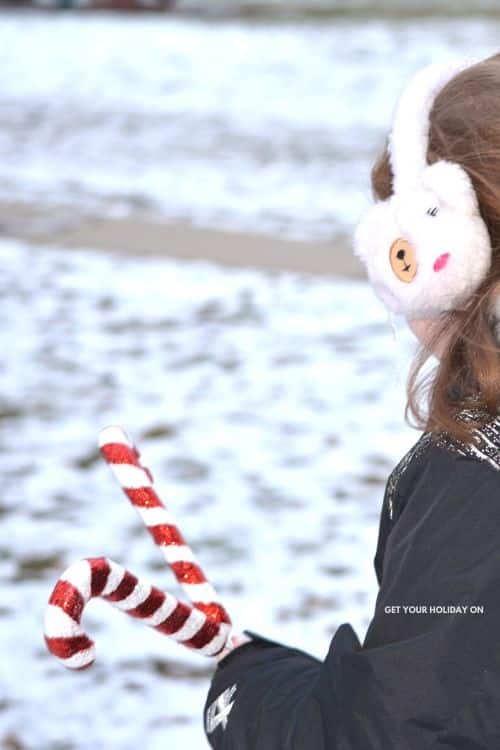 Candy Cane Hunt (With Pictures!) | Get Your Holiday On